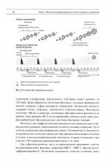 Эндокринная гинекология: избранные семинары - Фото 12