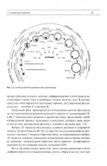 Эндокринная гинекология: избранные семинары - Фото 13