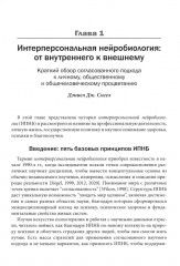 Интерперсональная нейробиология и клиническая практика - Фото 6