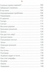 Творческие задачи для дошколенка от маленького львенка - Фото 3