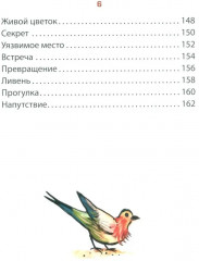 Творческие задачи для дошколенка от маленького львенка - Фото 4