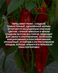 Колекционные семена перца «Свит поинт» - Фото 1