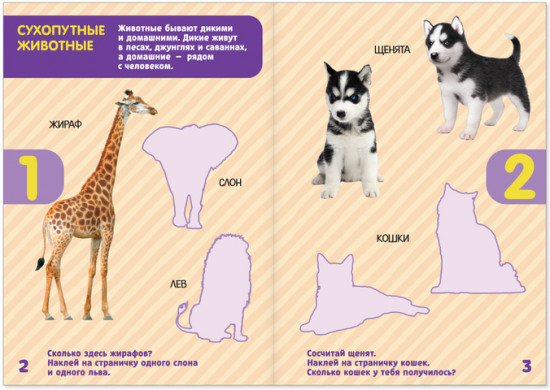 Книга с наклейками «Счёт»