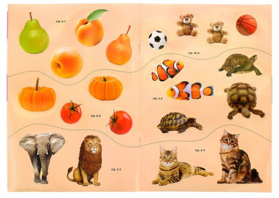 Книга с наклейками «Счёт»