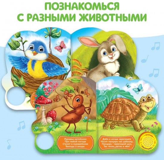 Музыкальная книга «Кто где живёт»