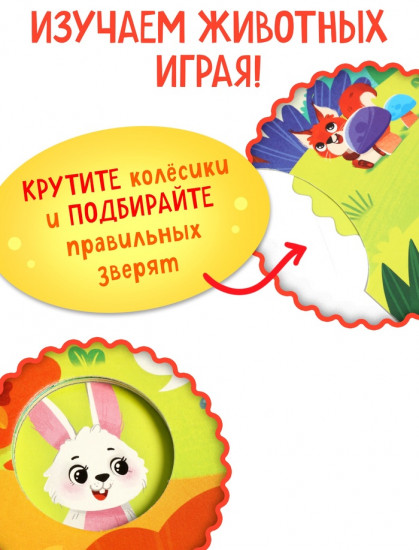 Кто в лесу? Книга с колесиком