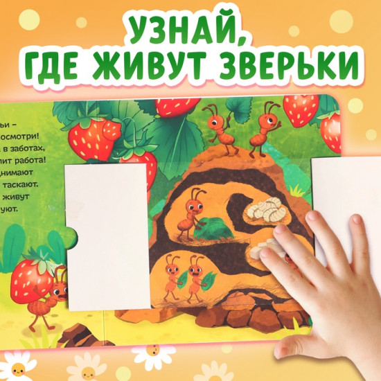 Картонная книга с окошками «Кто в домике живёт?»