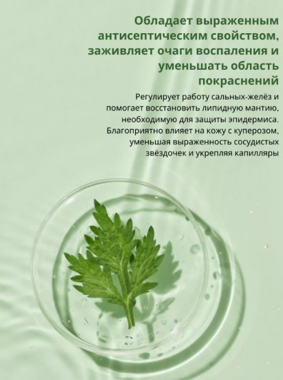 Пенка для умывания успокаивающая с полынью «Mugwort Calming Cleanser»