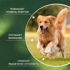 Кормовая добавка для быстрого восстановления собак после физических нагрузок «Energy Boost» - Фото 4