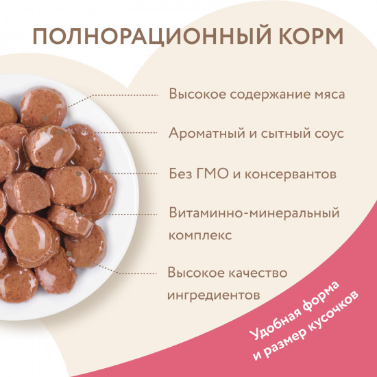 Корм для кошек «Кусочки в соусе с индейкой»