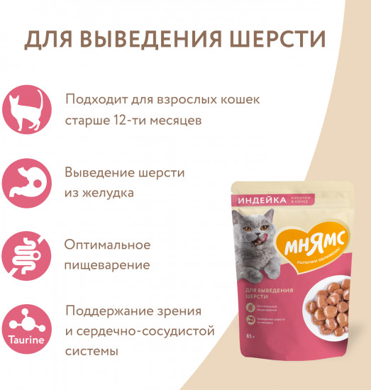 Корм для кошек «Кусочки в соусе с индейкой»