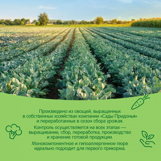 Пюре «Брокколи»