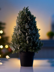 Фигура светодиодная «Можжевельник заснеженный» - Фото 1