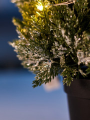 Фигура светодиодная «Можжевельник заснеженный» - Фото 2