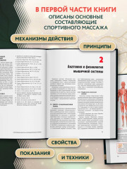 Спортивный массаж и вспомогательные приёмы - Фото 5