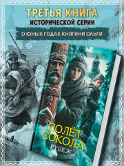 Полет сокола. Рубеж - Фото 3