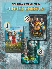 Полет сокола. Рубеж - Фото 10