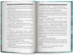 Полет сокола. Рубеж - Фото 12