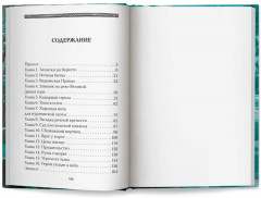 Полет сокола. Рубеж - Фото 16