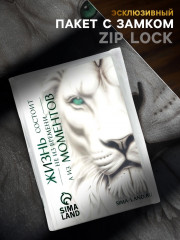 Пакет подарочный «С Новым годом» - Фото 1