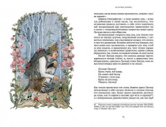 Ирландские сказки и легенды - Фото 9