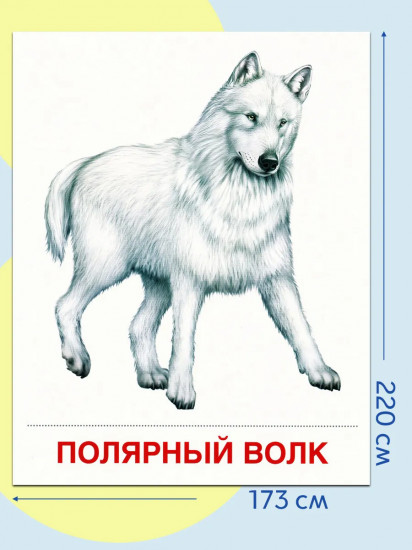 Животные холодных широт. 16 демонстрационных картинок с текстом