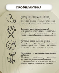 Бальзам «Нефро-апифит» - Фото 3