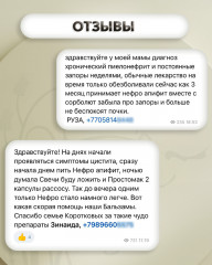 Бальзам «Нефро-апифит» - Фото 1