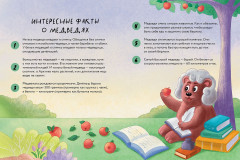 Косолапые медведи - Фото 4