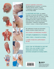 Анатомия массажа. Основы массажа нижней и верхней части тела с анатомическими иллюстрациями - Фото 1