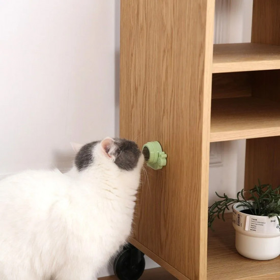 Игрушка для кошек с кошачьей мятой «Snail»