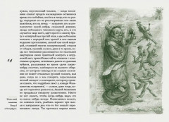 Шинель - Фото 1