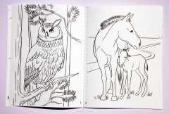 Раскраска «Қазақстанның фаунасы. Фауна Казахстана» - Фото 2