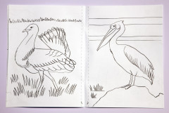 Раскраска «Қазақстанның фаунасы. Фауна Казахстана» - Фото 3