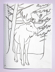 Раскраска «Қазақстанның фаунасы. Фауна Казахстана» - Фото 7