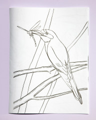 Раскраска «Қазақстанның фаунасы. Фауна Казахстана» - Фото 1