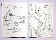 Раскраска «Қазақстанның фаунасы. Фауна Казахстана» - Фото 2