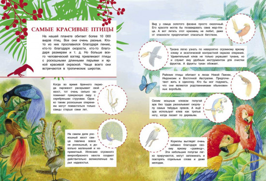 Познавательные наклейки. Животные жарких стран