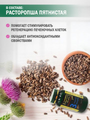 Капсулы для печени «Тройное обогащение» - Фото 4