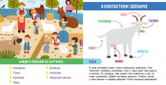 В городе и дома - Фото 4