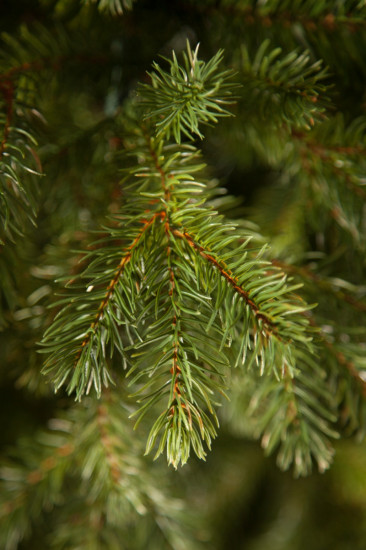 Ель искусственная «Можжевельник»
