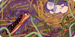 Кто где живет? - Фото 6