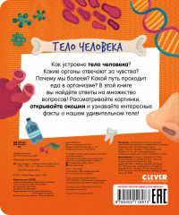 Тело человека. Книжка с окошками - Фото 6