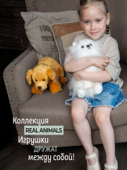 Игрушка мягкая «Золотой ретривер» - Фото 10