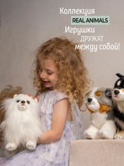 Игрушка мягкая «Померанский шпиц» - Фото 10