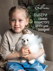 Игрушка мягкая «Померанский шпиц» - Фото 13