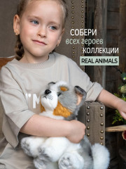 Игрушка мягкая «Австралийская собака» - Фото 9