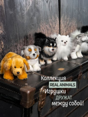 Игрушка мягкая «Австралийская собака» - Фото 10