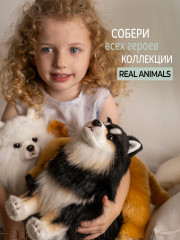 Игрушка мягкая «Финская лайка» - Фото 9