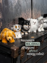 Игрушка мягкая «Финская лайка» - Фото 10